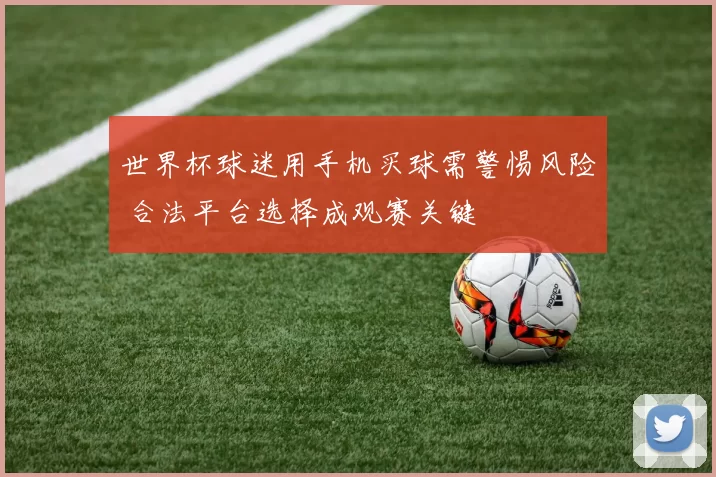 世界杯球迷用手机买球需警惕风险 合法平台选择成观赛关键