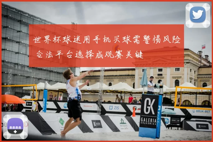 世界杯球迷用手机买球需警惕风险 合法平台选择成观赛关键
