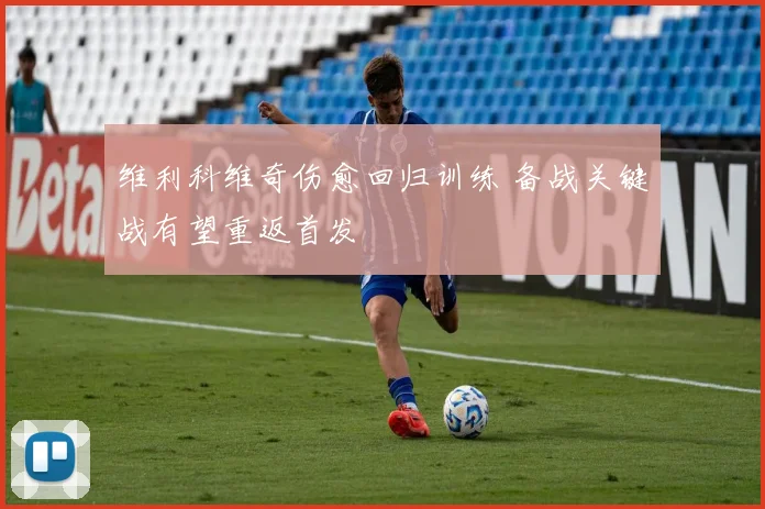 维利科维奇伤愈回归训练 备战关键战有望重返首发