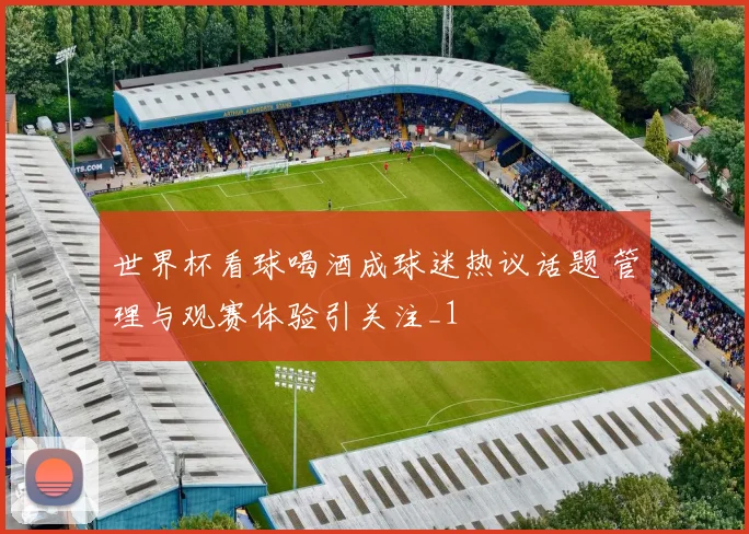 世界杯看球喝酒成球迷热议话题 管理与观赛体验引关注_1