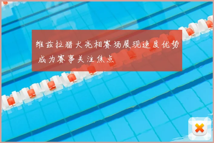 维兹拉猎犬亮相赛场展现速度优势 成为赛事关注焦点