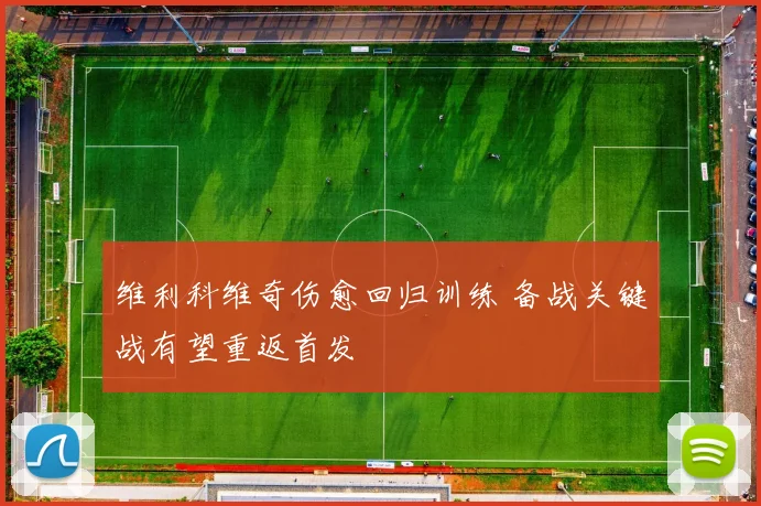 维利科维奇伤愈回归训练 备战关键战有望重返首发